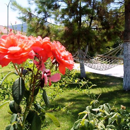 Gurkan Apart Hotel Dalyan Buitenkant foto
